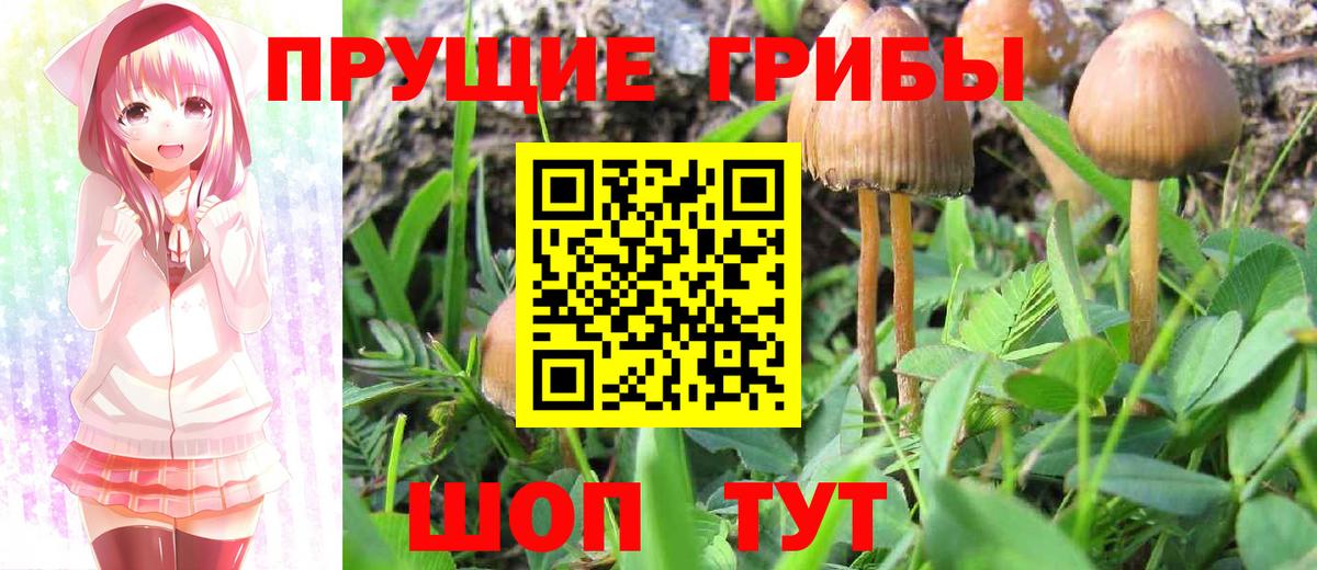 Надым  Галлюциногенные грибы прущие грибы  Вход с VPN  Галлюциногенные грибы мицелий 