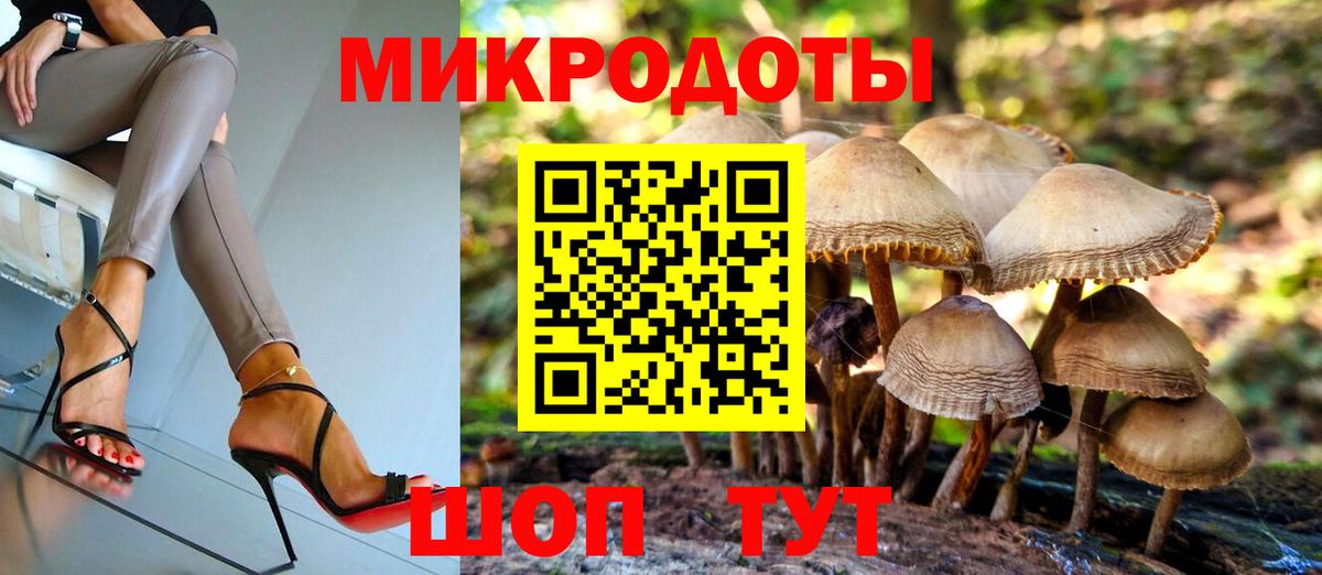 Псилоцибиновые грибы Psilocybine cubensis Надым